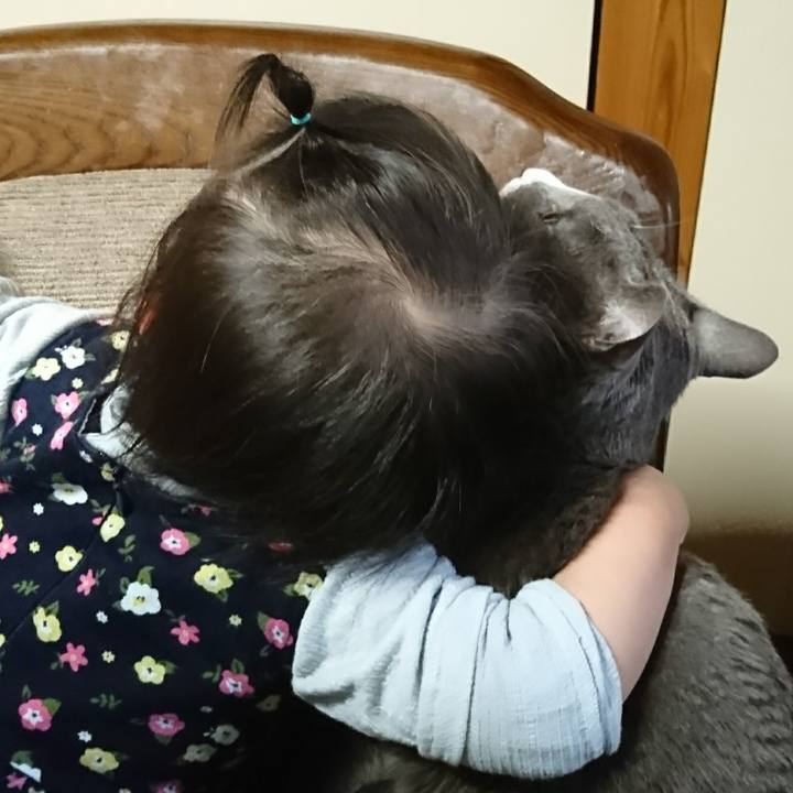 2c85e93c 8ee4 4162 866b abdd8900914f