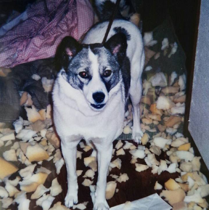 2c86c616 3473 4241 a25b 141b281f69b6