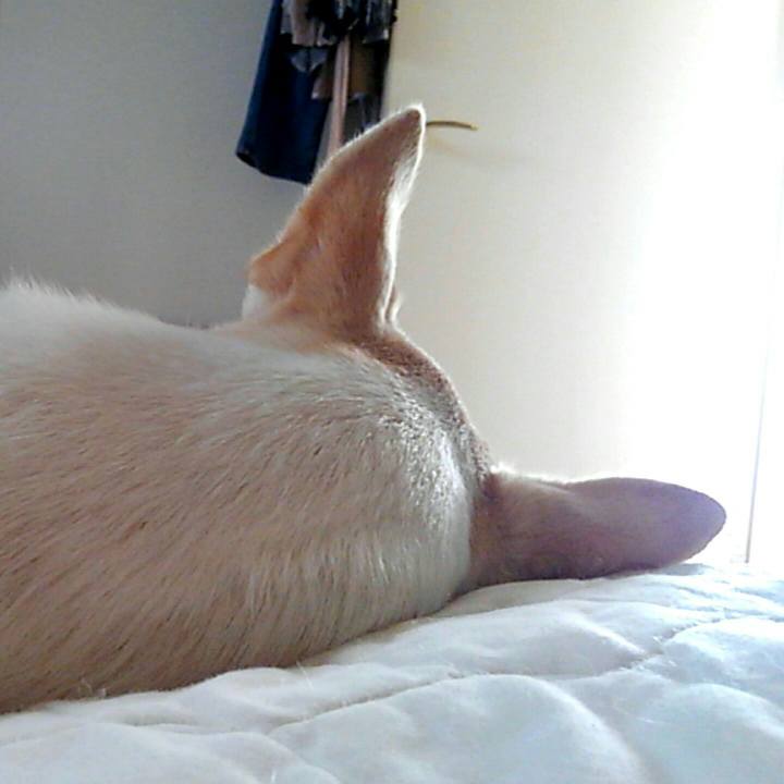 2c86f0da 4ff9 4c02 bb3f 37b8f14d0f25