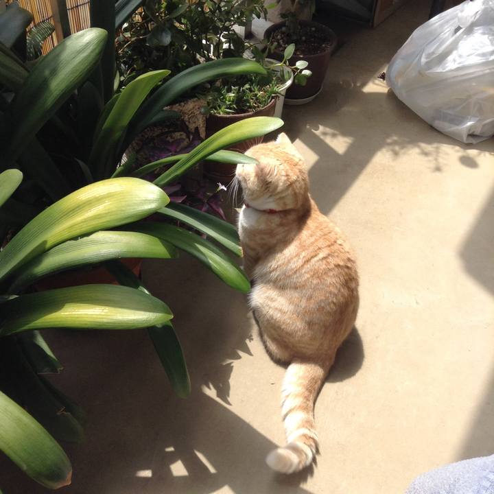 2c898490 4a6e 4f16 87f6 d8cc0d79c94e