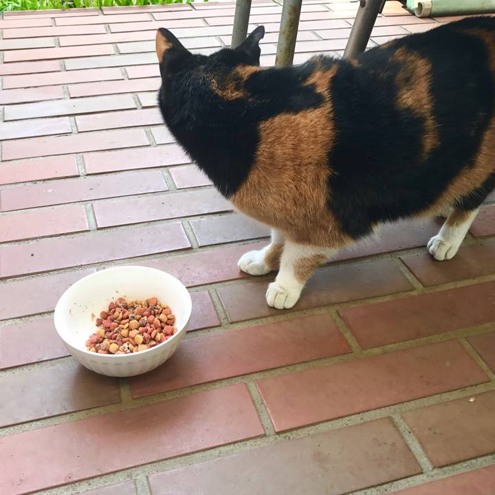 2c8aa65d 9298 4e10 a321 fd50c8b8458b