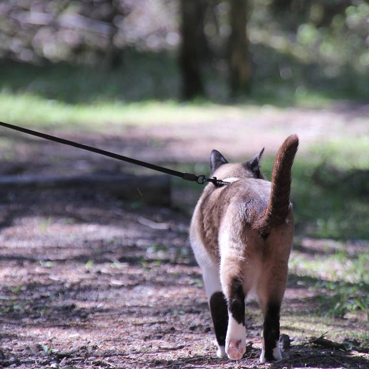 2c8abf29 6918 4f1f b9b2 5a1ad4a6cf71