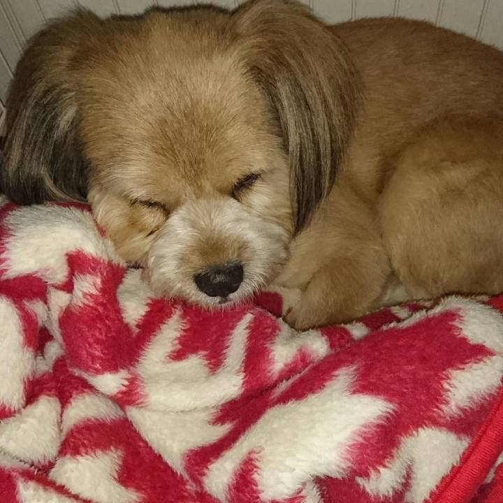 2c8ade9c 8cd3 4915 b03f b86a3a2a0671