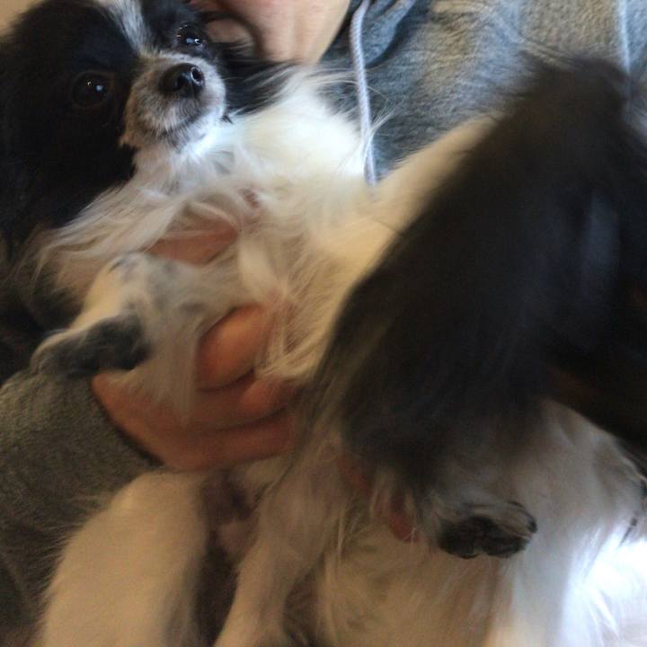 2c8b5897 0cbc 4d09 bd1d 8e0bc4c582aa