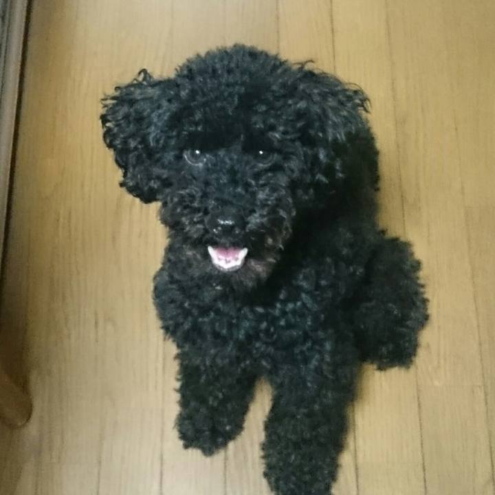 2c8b599d abe7 44b2 9100 79b914429273