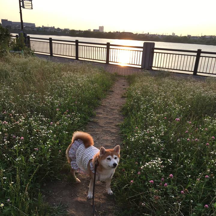 2c8b9a6f 1e6c 419f acbe 0f3f73bcfcb7