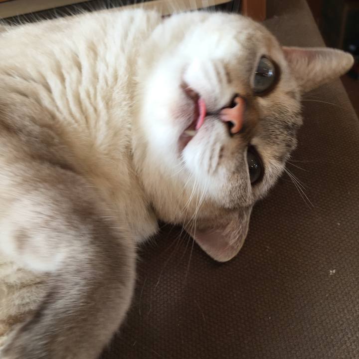 2c8bbbeb c80a 458a 823e 0186790f31c4