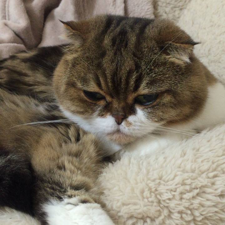 2c8c4ddc d6b9 433e 94ee d8939eafd04f