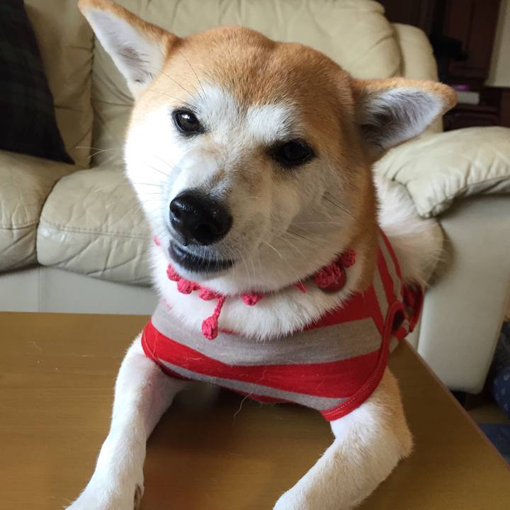 2c8c6688 97e7 4641 9a86 7ea7959060ff