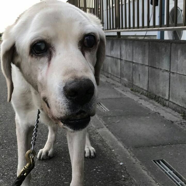 2c8cbc8e 52b9 41a0 9043 343595a7c556