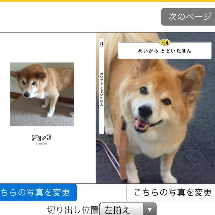 2c8cc99d adef 44c8 8df9 e0da38706409