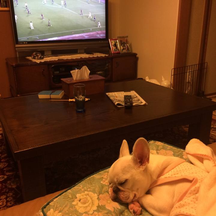 2c8cde35 4ad6 445c 81a0 94cb64279af5