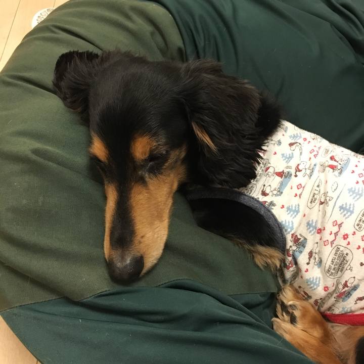 2c8d1b62 3a74 43c0 8d63 8bd33e6b610b