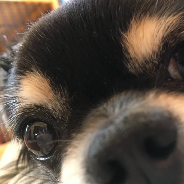 2c8dd9e9 c5bc 4634 9536 d455fcf30f6a