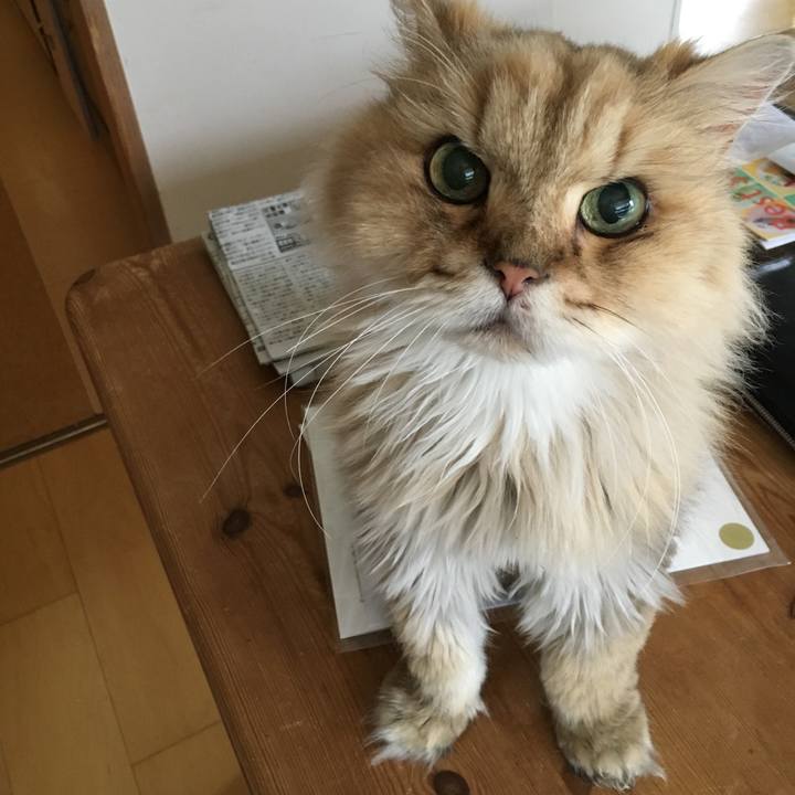 2c8ddfa6 3d90 4f0a b66e 588a89a53b7e