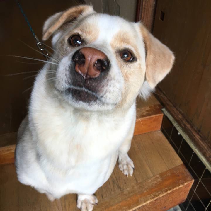 2c8e456f 49dc 4bd3 ab15 eba269f15b5b