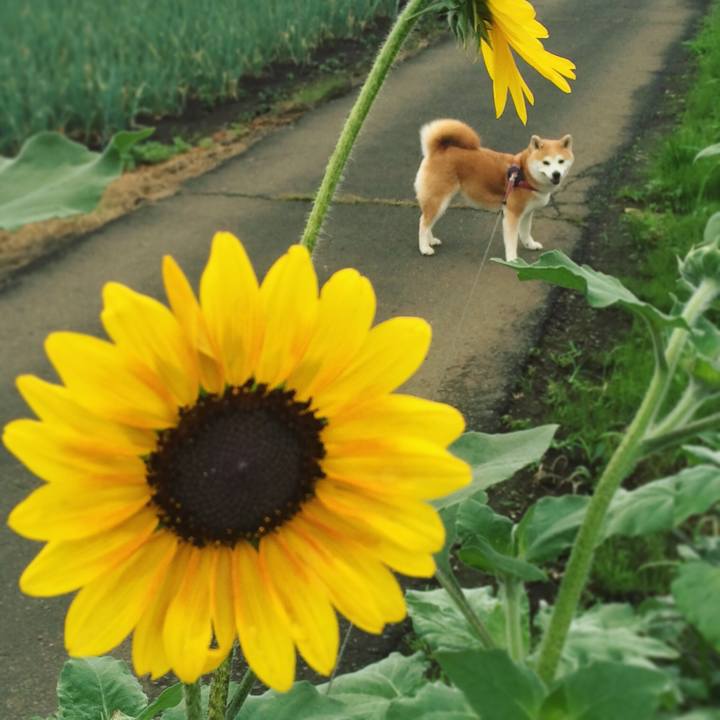 2c8fac25 7333 4573 ac00 f43a6a9c163f