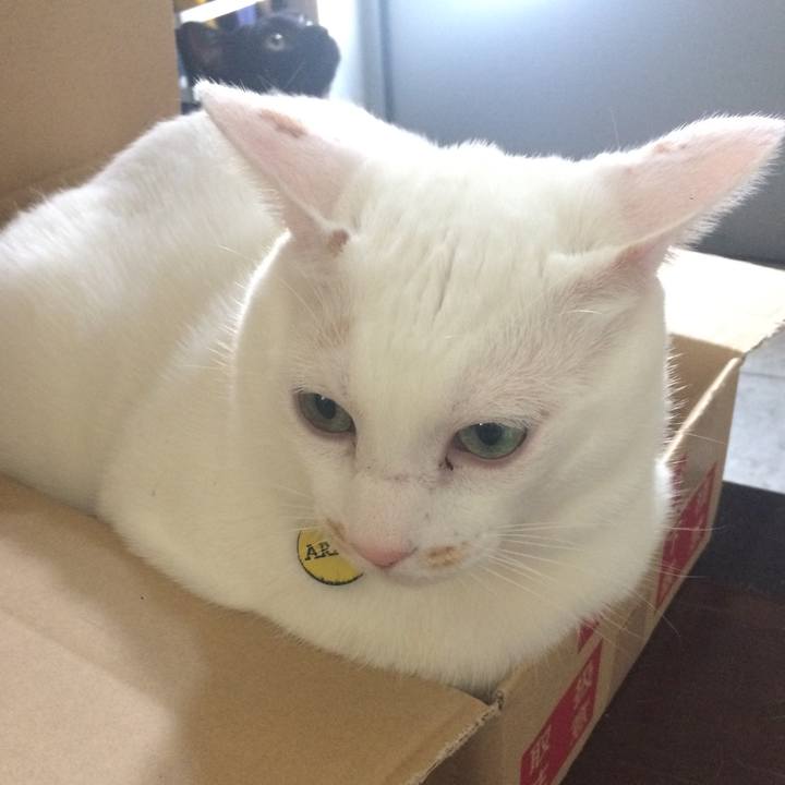 2c90073c 68fe 485e 8658 004ae5fb7733