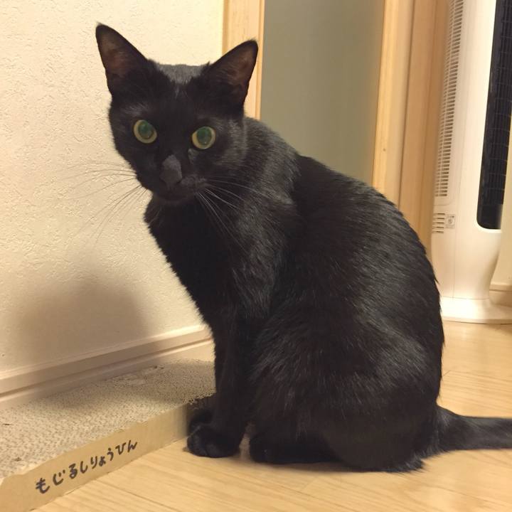 2c901aaa 6ad7 4647 baac 69eab53531a3