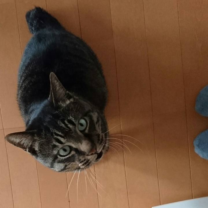 2c921ccb 2950 43a3 98b8 6c8701ce2bf9