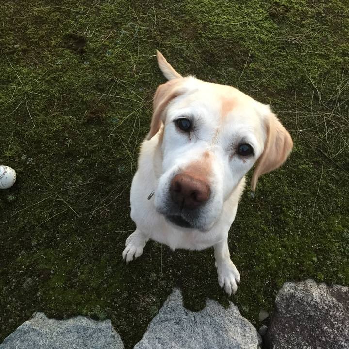 2c922e03 9b1f 4b81 a5c0 bc51ab96d0d5