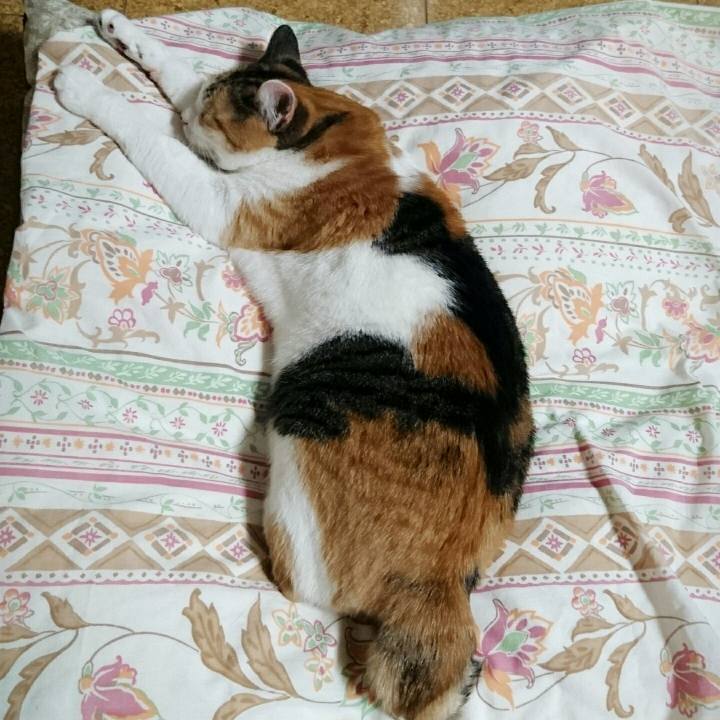 2c932dbc 9c22 4321 8a8a 689ca7ce583a