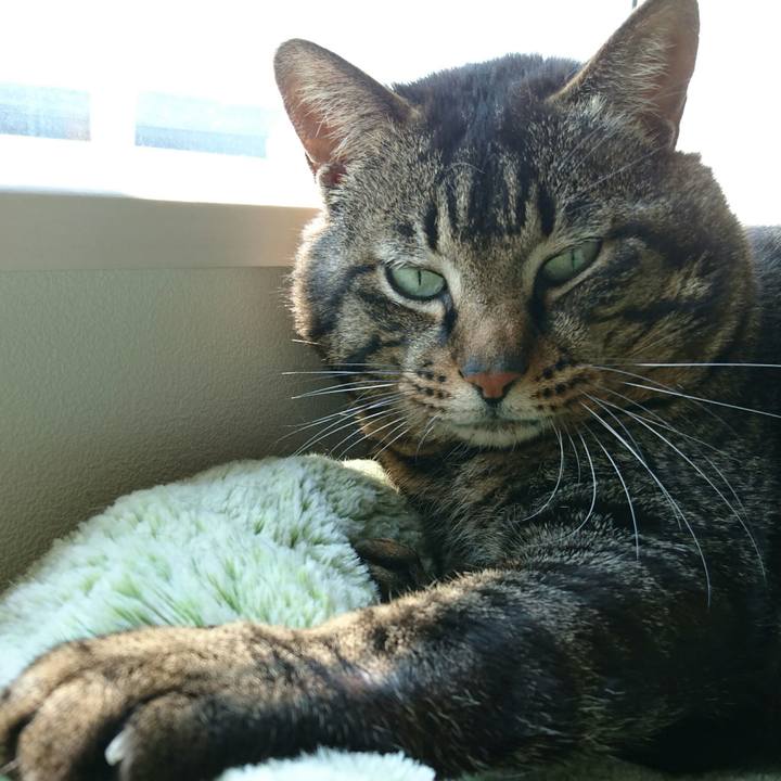 2c93945e 5699 49aa 8670 b978521a85d2