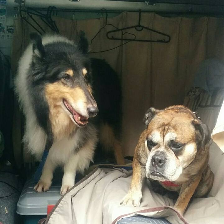 2c93d622 2afd 471a bfd0 821d00dc9e7e