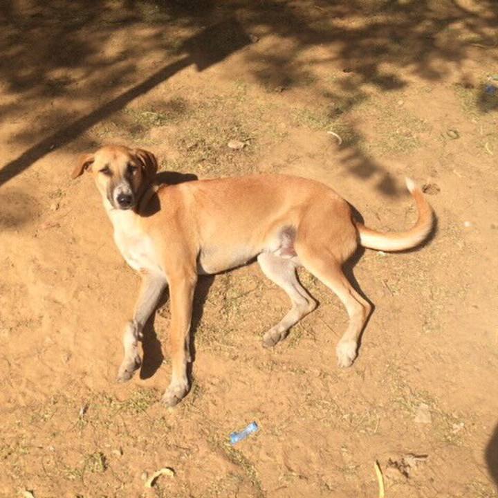 2c93e025 0a1a 4447 90a7 d90f69bae9fb