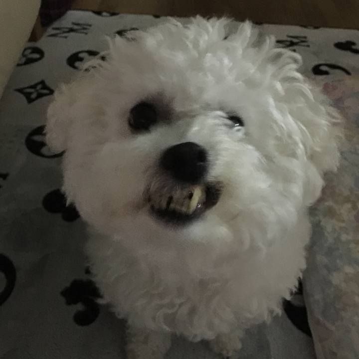 2c94217b 6a64 4646 8174 2080f1b5be54