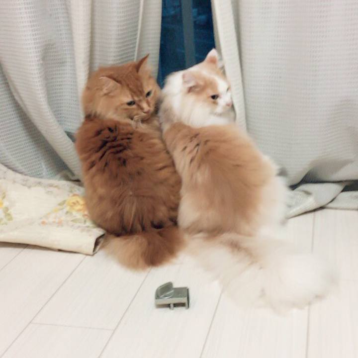 2c94843f c40d 4443 980e 60e2e895cca1