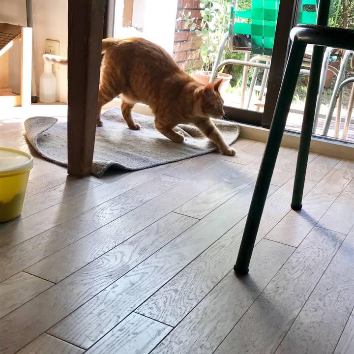 2c951484 7ba2 4fff 991e 821cd0093ecf