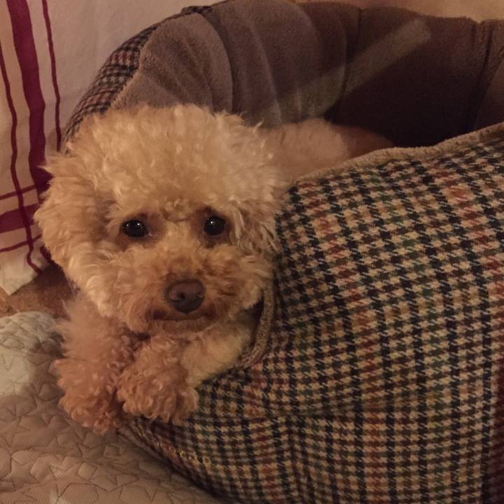 2c952988 1134 4544 959a 7532c5ba8544