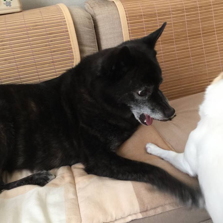 2c95419d bd91 4ea9 860a 7458d7160666