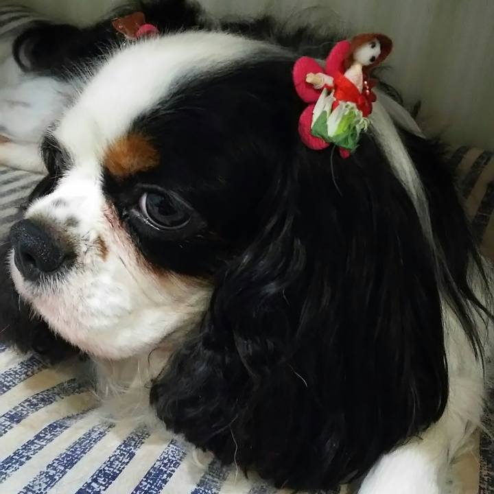 2c96408b 6eea 4105 90be 45025a576f06