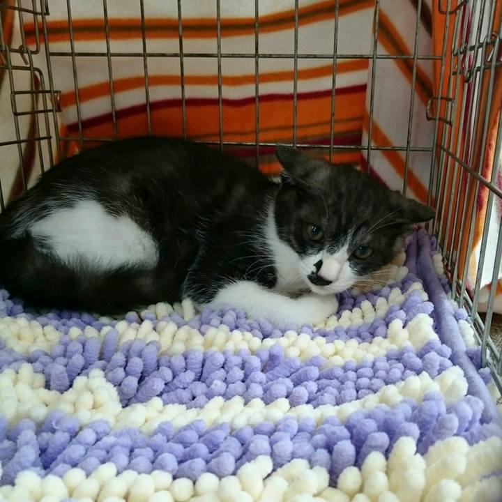 2c97a144 dd3d 4023 b2bb 9b2c6524a4ec