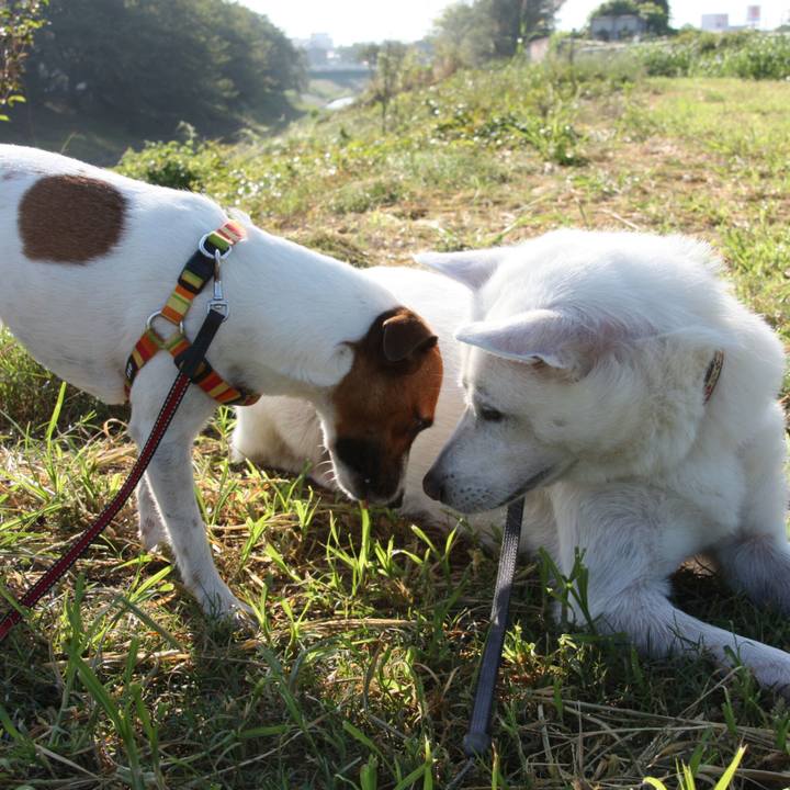 2c97eea9 7703 42aa 94f2 59508f9f85bb