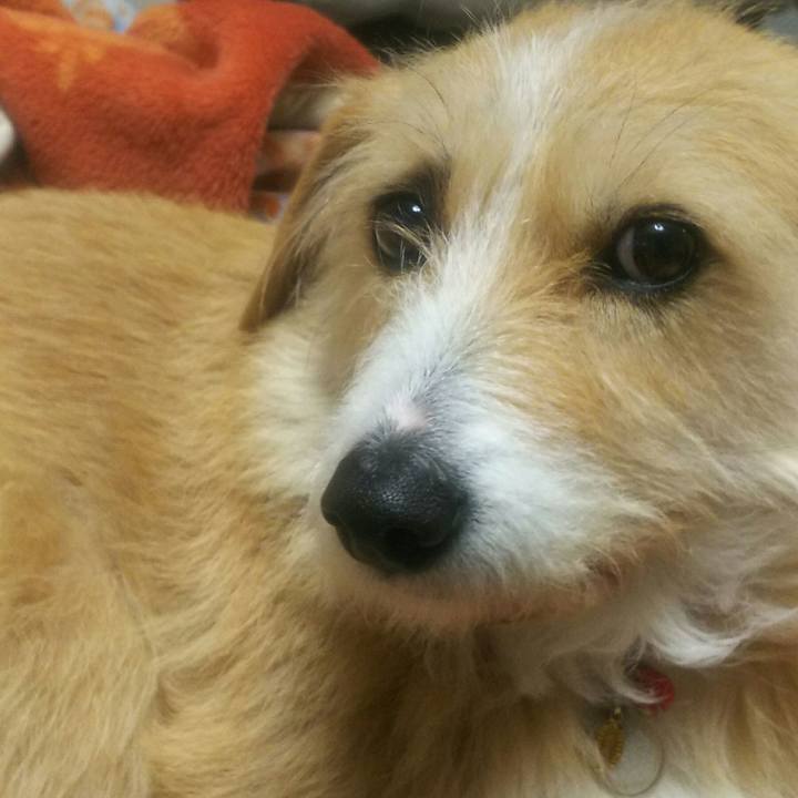 2c982ca2 1dcb 4692 94a3 fad49bf41322