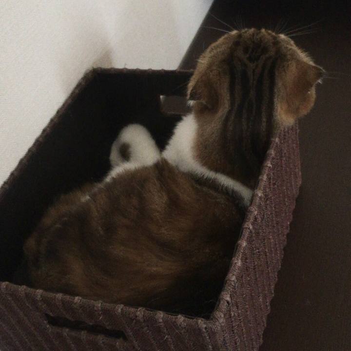 2c9832d9 342a 45ea bb97 e2c4871d697c