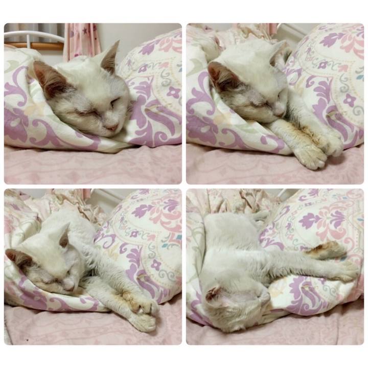 2c98ab76 78be 4597 a9f8 8bb46d3f34a5