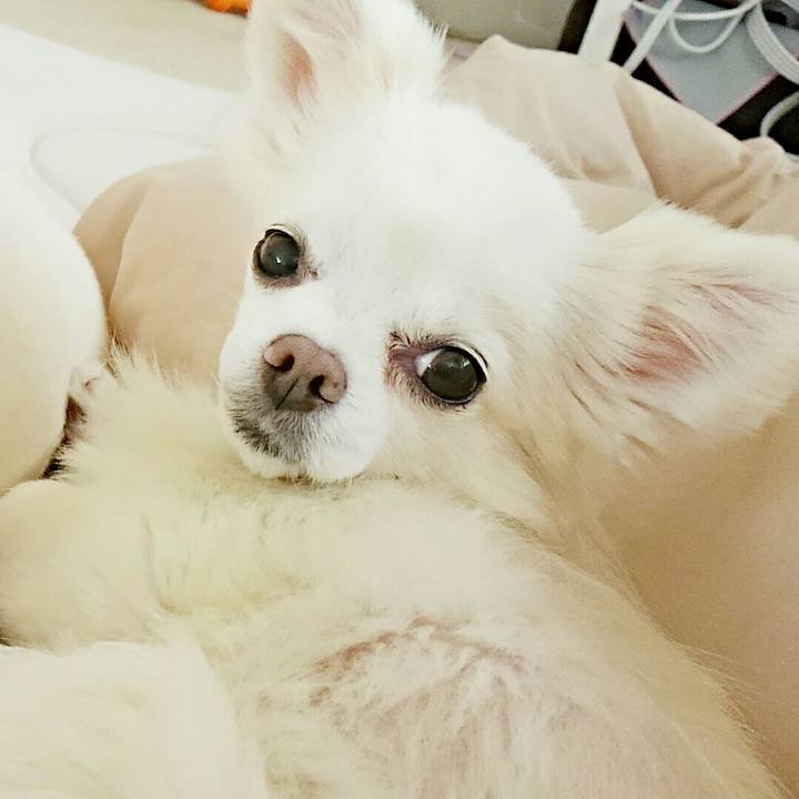 2c992855 d3a6 4a7a bfd0 d00fa1997e61