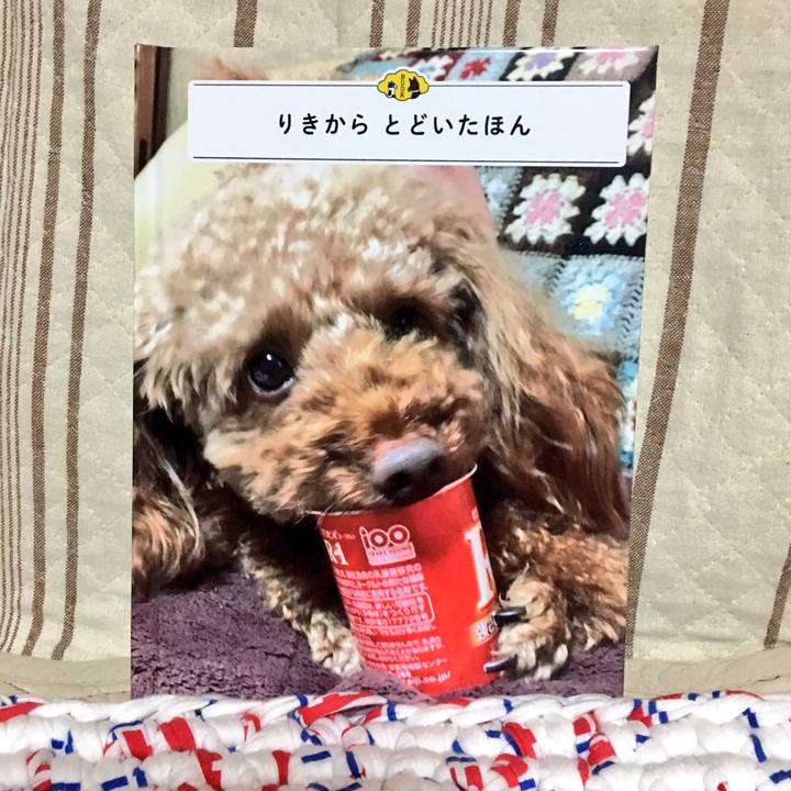 2c9a7b82 cdf4 41ed 978c 606131e3fc11