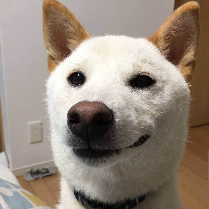 2c9be940 766e 4c2f b185 e277a2a1f5a1