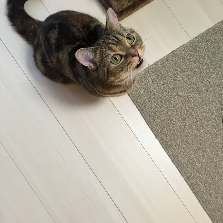 2c9c0142 b331 4baf 921c e646d9b299af