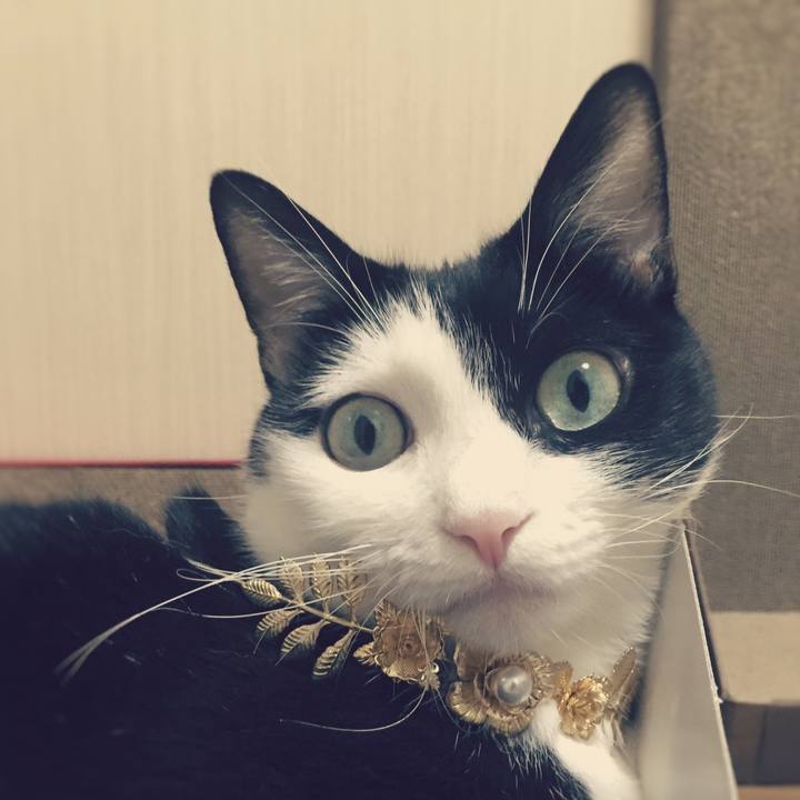 2c9c0845 67af 462a a6a5 b2bc2ecca36a