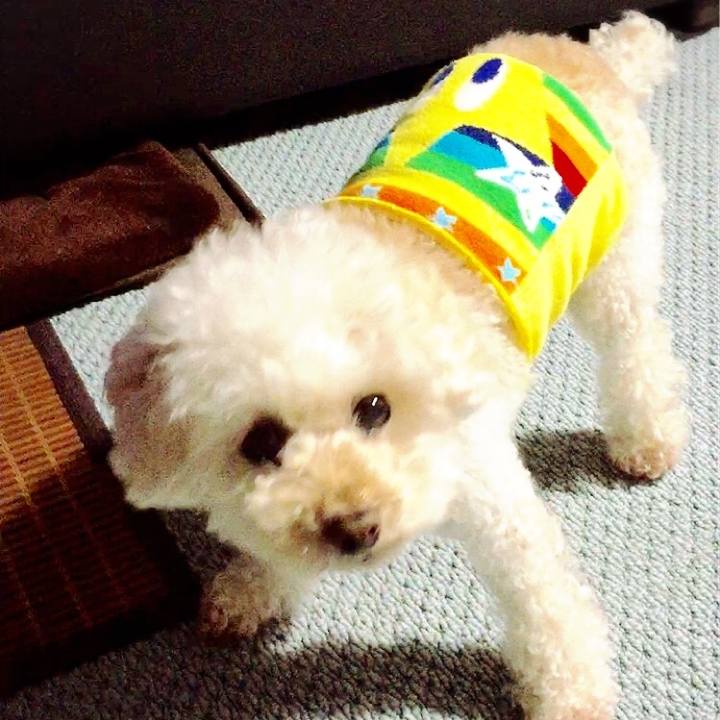 2c9c6aa6 ddde 4c74 aa44 0af0c7b2998a