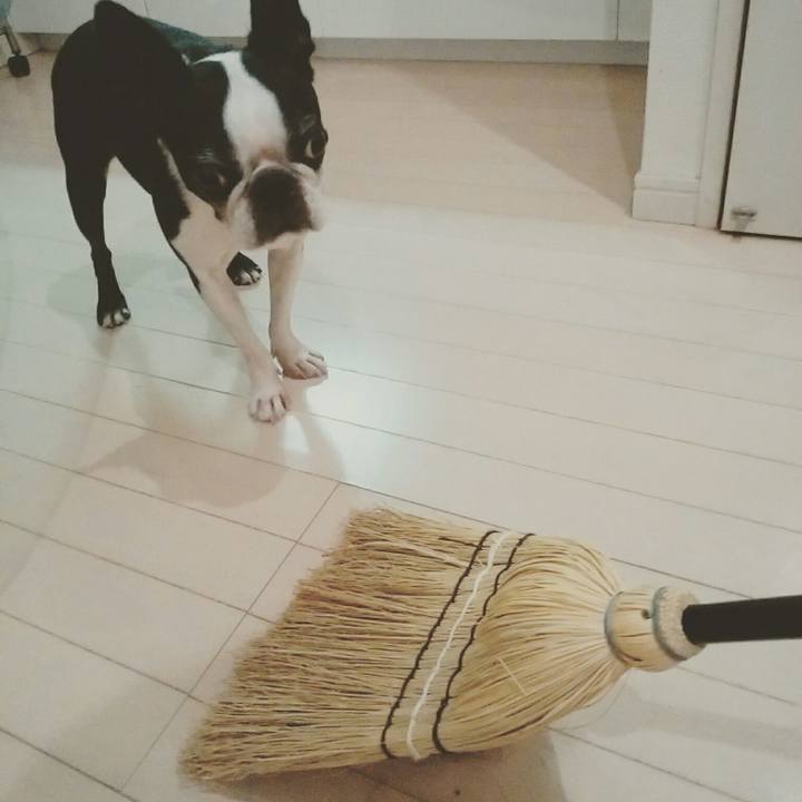 2c9d2fdb ece5 4fec a0ee b92177eda644