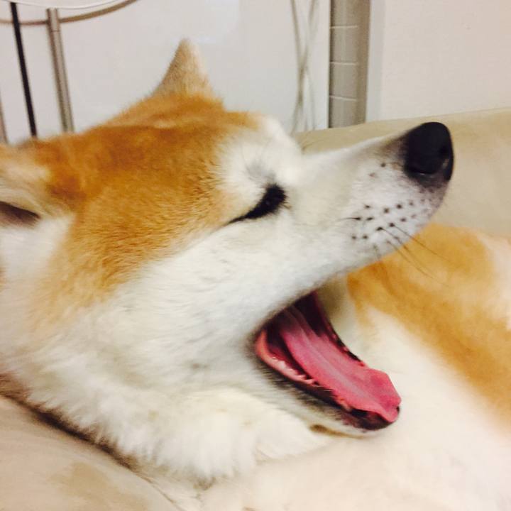 2c9d4b65 9146 4cd5 a7ac 49ef4115738f