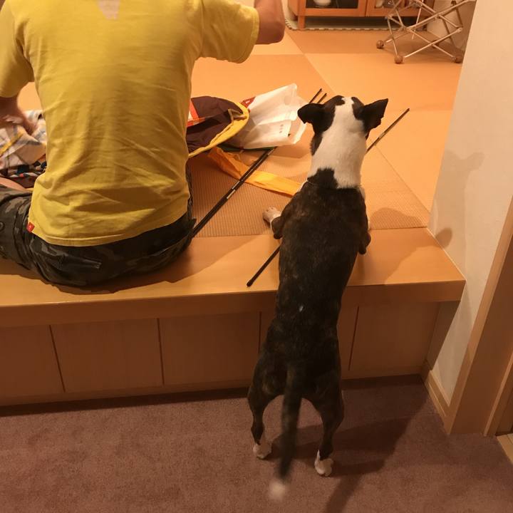 2c9d78bc 38c3 407c aa57 ca864952a025