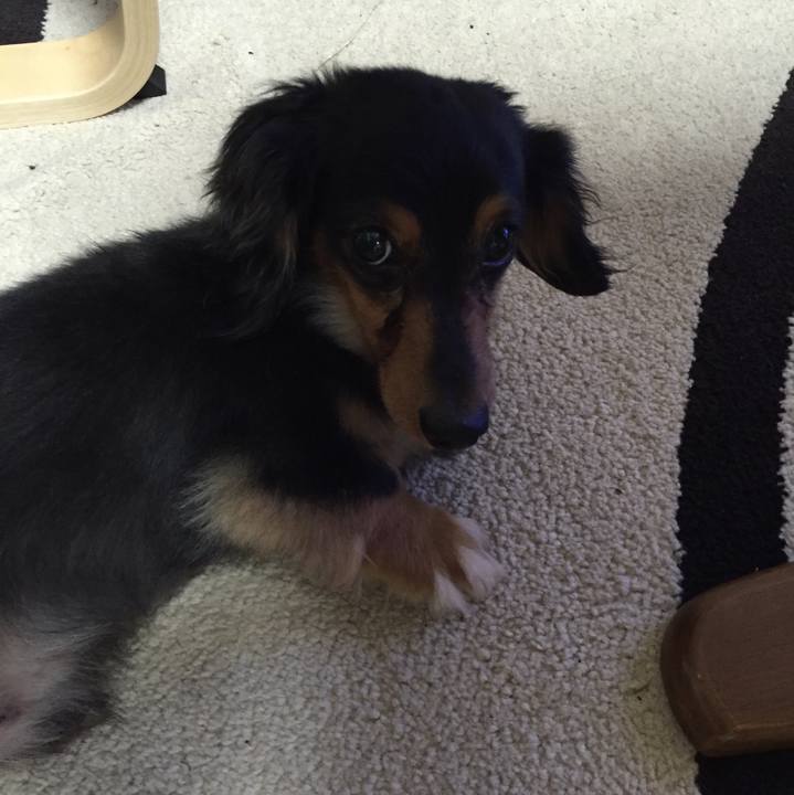 2c9d86e5 83dc 4cb4 8a57 859ae94a75f2